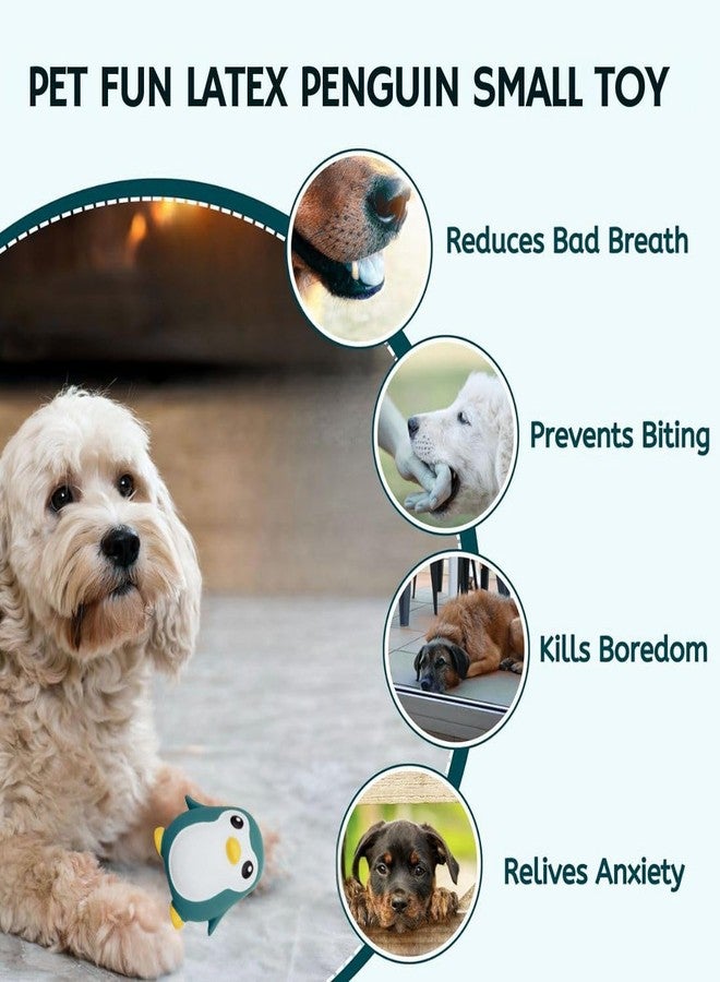 PET FUN Penguin Squeaky Dog Toy | Non-Toxic Latex Rubber Chew Toy for Dogs & Puppies | Soft, Durable & Pet-Safe | Built-in Squeaker for Interactive Play | Color May Vary - Image 4